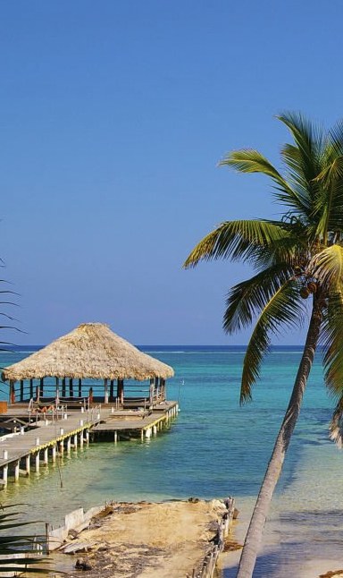 A thatched palapa at the end of a wooden pier over clear turquoise water, a leaning coconut palm in the foreground.