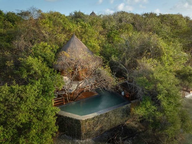 A single thatched bungalow set in the trees with its own plunge pool on a deck built out over the rocks.